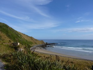 Catlans Penguin Beach with Hide