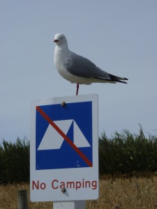 No Camping