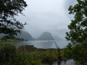Milford Sound in the drizzle