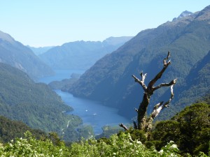 Doubtful Sound on the way to the boat